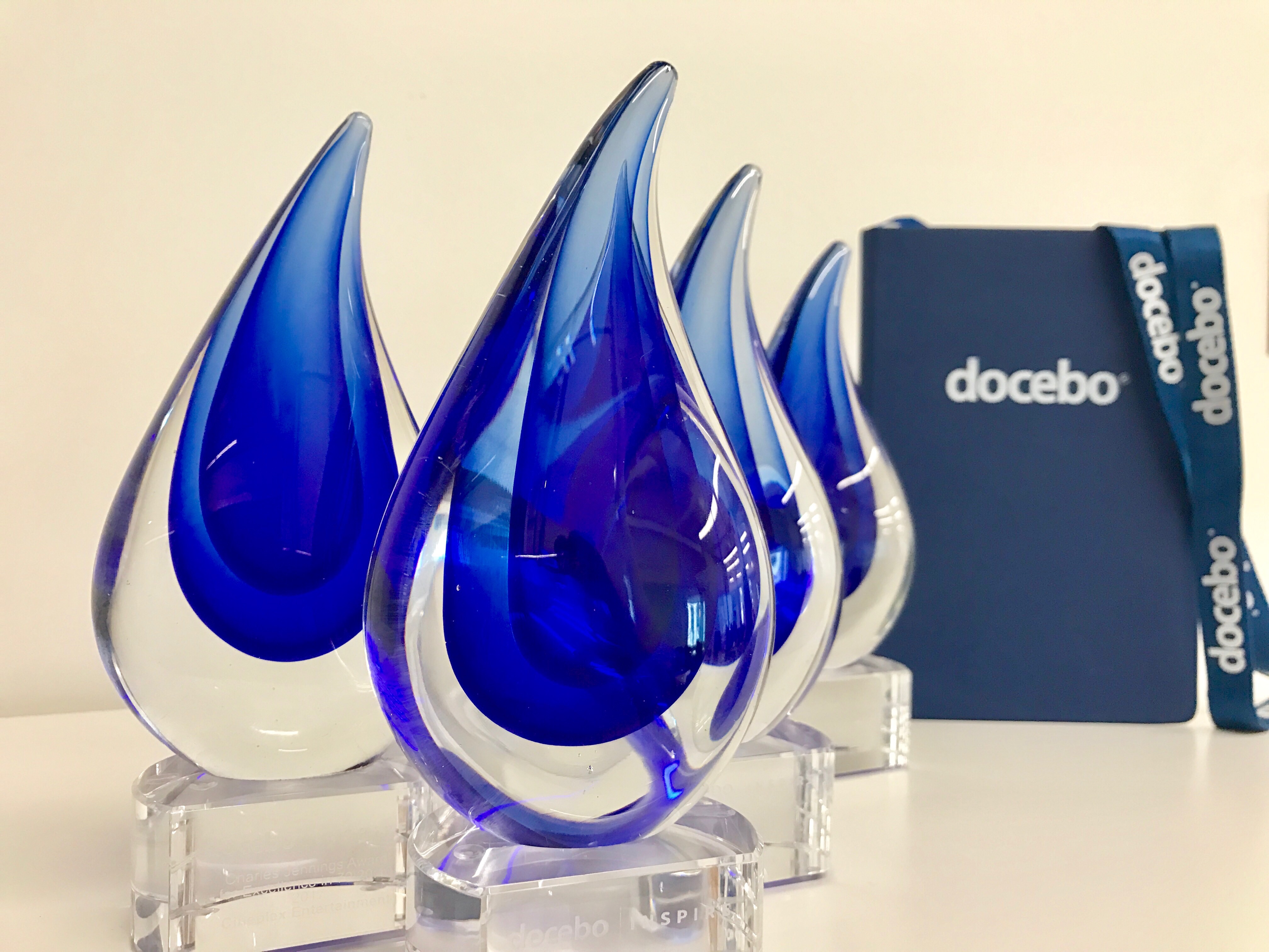 The 2017 Docebo Learning Awards recognized achievements in five categories.